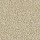Masland Carpets: St Augustine Boundless